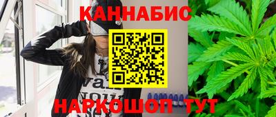крисы Ливны
