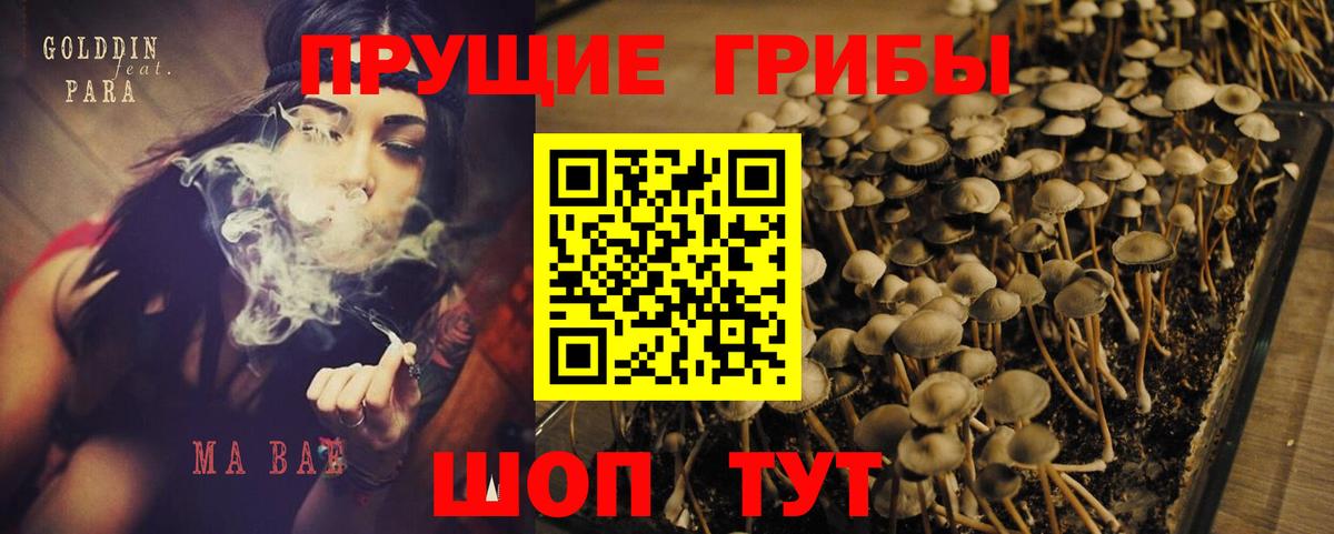 Белая Калитва  Галлюциногенные грибы Psilocybine cubensis  Вход с VPN 